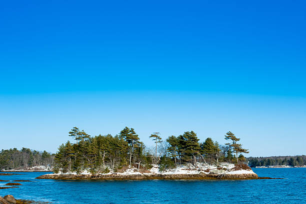 Paul McElligott Wolfe Island-Paul McElligott Wolfe Island: Bridging Science and Conservation 