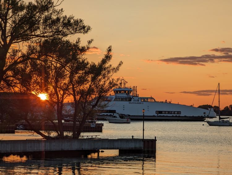 Paul Mcelligott Wolfe Island-Building a Legacy of Regeneration